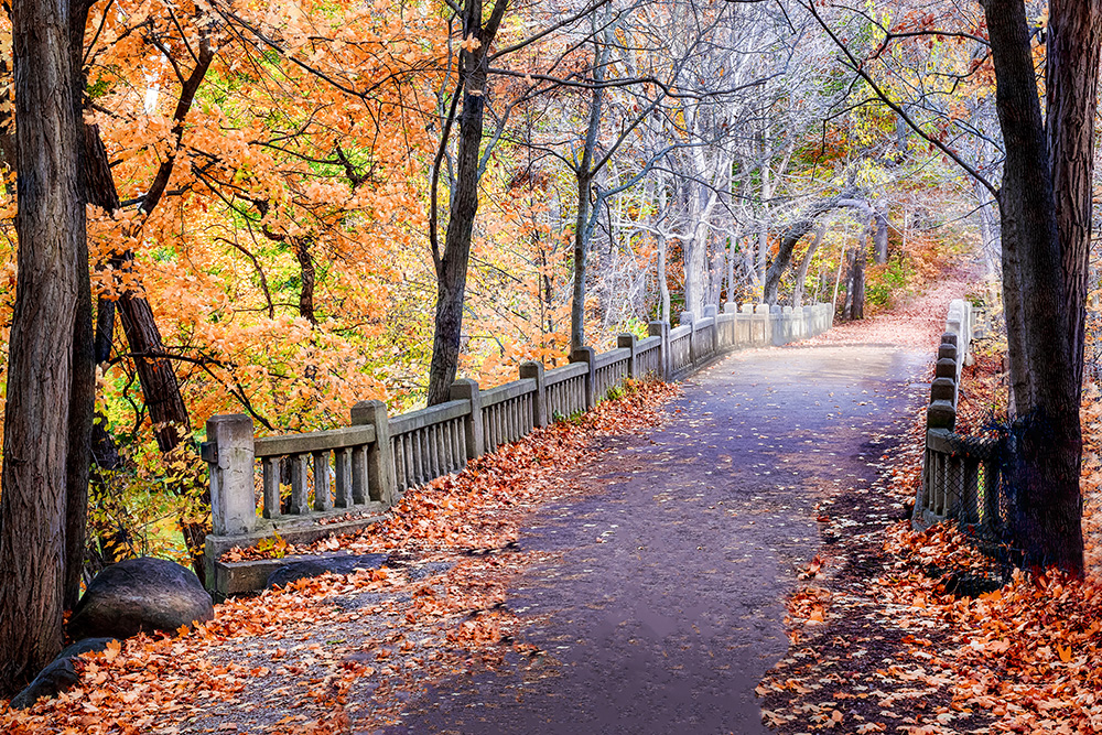 Bridge in Fall